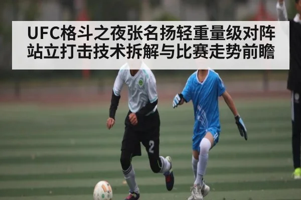 UFC格斗之夜张名扬轻重量级对阵站立打击技术拆解与比赛走势前瞻