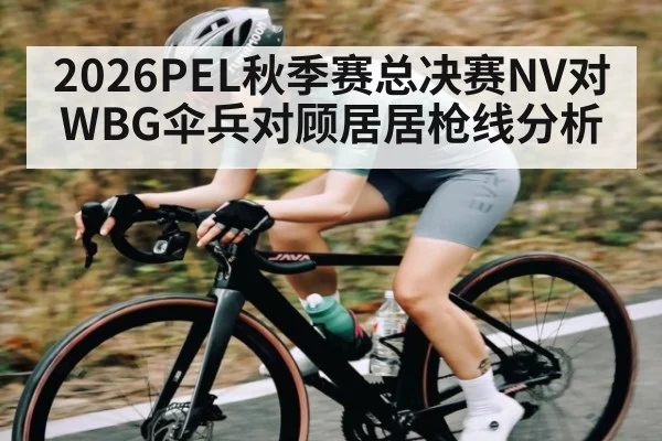 2026PEL秋季赛总决赛NV对WBG伞兵对顾居居枪线分析
